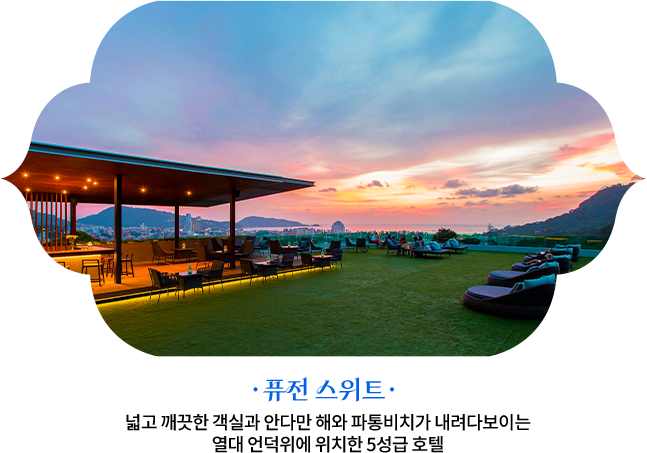 퓨전 스위트